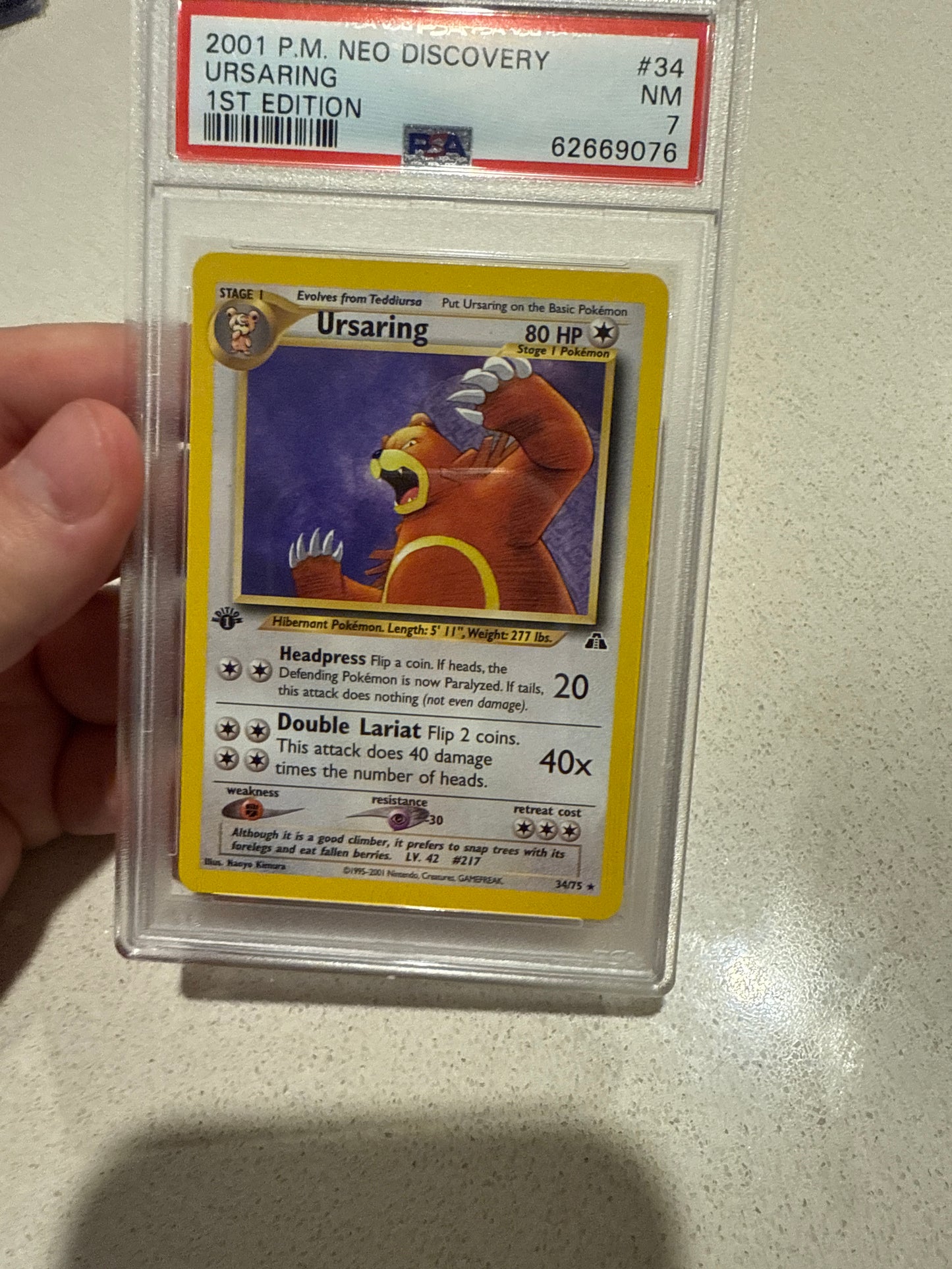 Ursaring 34/75 1st ed neo discovery PSA 7