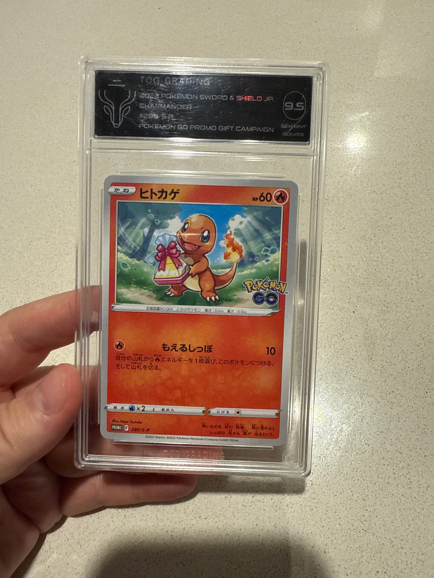 Charmander 289/s-p pokemon go gift campaign TCG 9.5